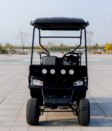 2+2 Человек Современная Гольф-Торба Быстрая Электрическая Мини-Мобильность Рулевое управление Охотничье Гольф-Торба Оптовая продажа