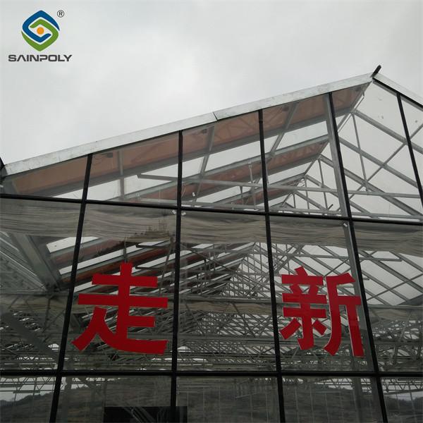 Customized Agriculture Solar Glass Greenhouse Double Glass Greenhouse