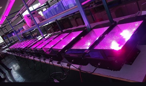 Aluminum Alloy 120W RGB LED flood light AC100 - 240V with 2 years warranty