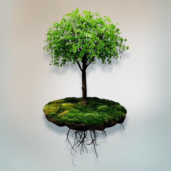 Anti vertical UV que esverdeia o pendente suspendido decoração simulado artificial do espaço da planta