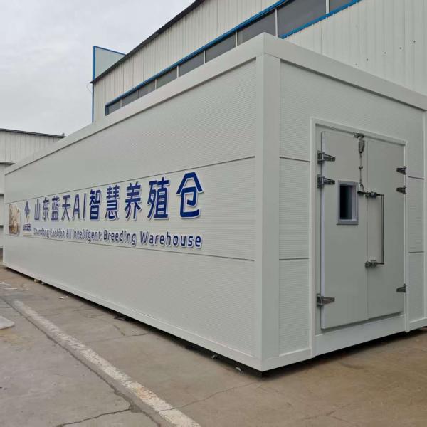 Versatile Mushroom Cultivation For Efficiently Handling Large Quantities