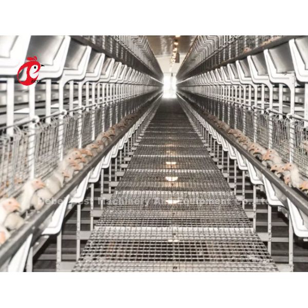Система Роза клетки брудера цыпленока 2.5mm младенца автоматическая поднимая