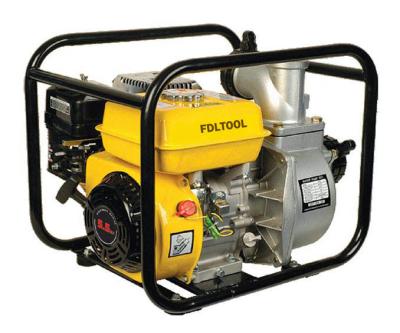 2 Water Pump Powered by 5HP LPG Engine