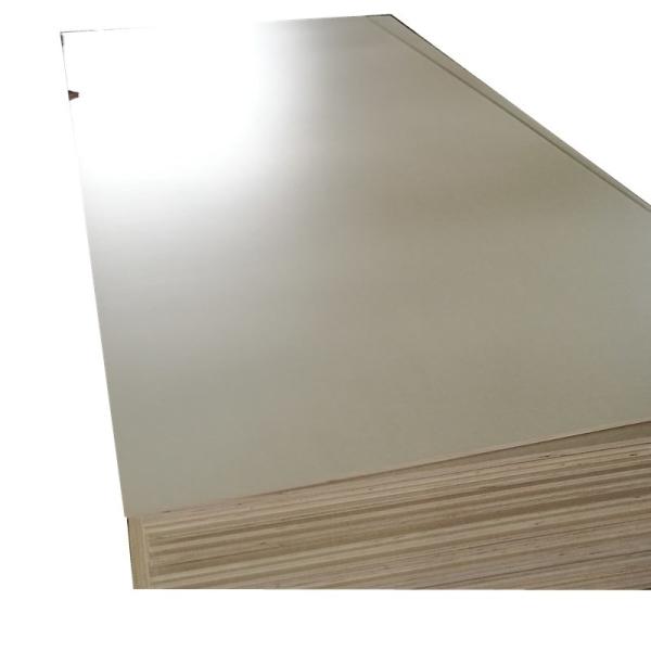 Eucalyptus Hardwood Poplar E2 22mm Melamine Faced Birch Plywood