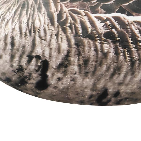 Waterproof Plastic Lifelike Anti Scratch Silhouette Geese Decoy For Specklebelly Goose Hunting