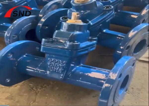 GGG50 DN65 PN16 Flange Gate Valve for Oil Water Gas