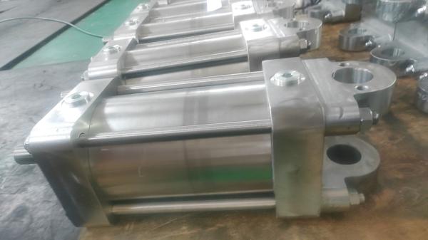 Stainless Steel Air Pneumatic Cylinder Acting Custom Standard