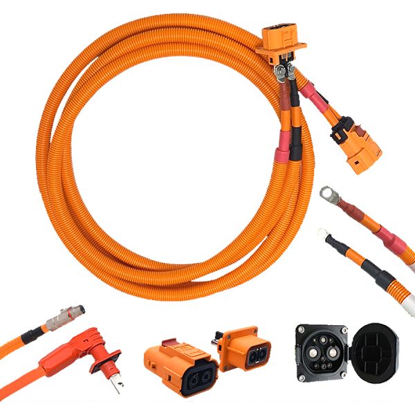 CTS Промышленное электрическое транспортное средство Мотоциклетная кабельная сборка Автомобильная проводка