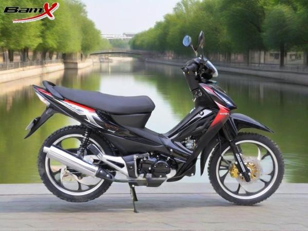 Small Motorcycle 110cc 4-stroke Engine Hydraulic Damping Front Suspension Disc Brake Motorcycle Gas