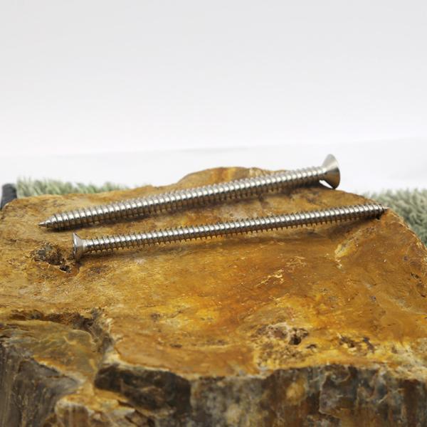 Stainless steel self-tapping screws customized