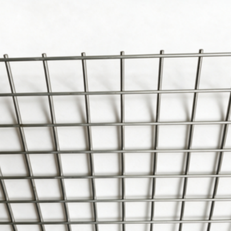 Hot Dipped After Welding Galvanized Welded Wire Mesh 1.2m×25m Outdoor Garden Protective Wire Netting