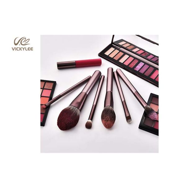 Animal Hair 12 In 1 ODM Facial Makeup Brushes