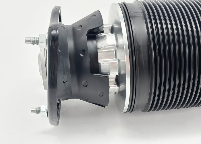 Compatible For Mercedes Benz R231 SL-Class Hydraulic Shock Absorber Rear Left