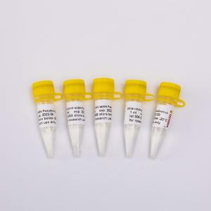 GDSBio Nucleic Acid Purification Kit 2019-NCoV-AbEN Pseudovirus V1001 V1002