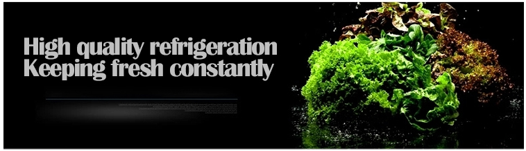 Прочный коммерчески холодильник кухни, замораживатель кухни простого стиля коммерчески