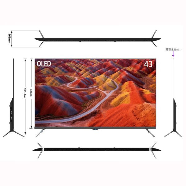 55 65inch FHD Smart TV / HRD 10 Google TV / dolby audio, OLED TV