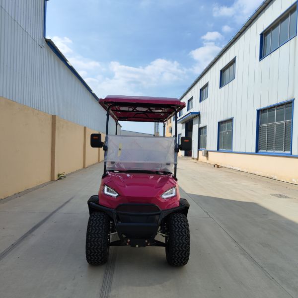 4+2 сиденья Гольф-коляска Внешний вид Модный дизайн Высококлассные горячие продажи 3.5/4/7Kw Улучшения производительности