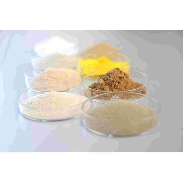 neutral cellulase,Degrade Cellulose Fibers Neutral PH Conditions