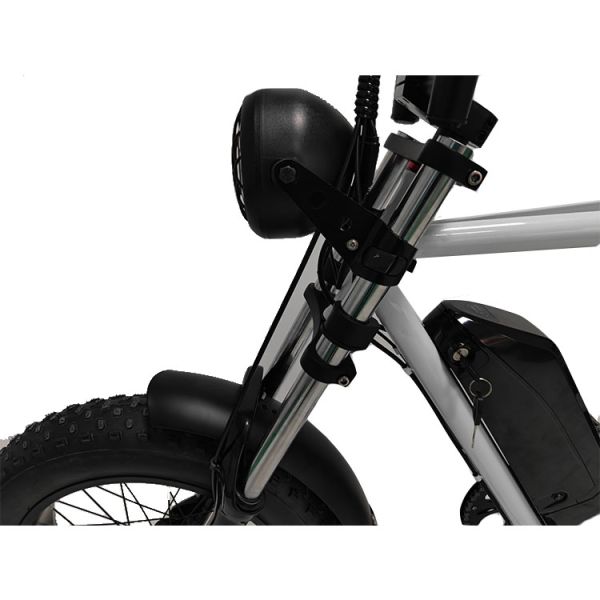 Задний двигатель 20*4,0' жирная шина электрический велосипед электронный велосипед для рынка