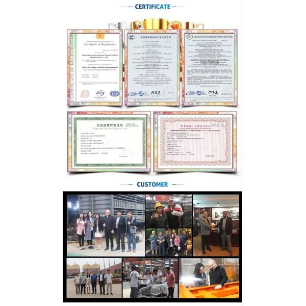 2-осевой двойной скоростной приземляющийся прицеп для автомобилей