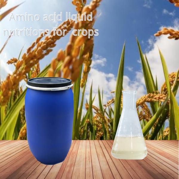Adubo orgânico líquido do boro do zinco do quelato do ácido aminado para o adubo agrícola das colheitas
