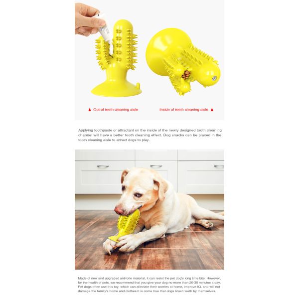 Cactus Shape Interactive Pet Toys Molar Teeth Dog Dental Chew Toy TPR 125g