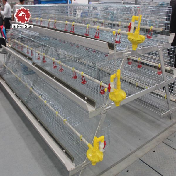 Тип горячее оцинкованное клетка для цыплят 4 уровня 168 птиц