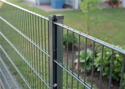 1.2mm Post Thickness Welded Wire Fence 5ft Galvanized Coating 3.5mm Dia