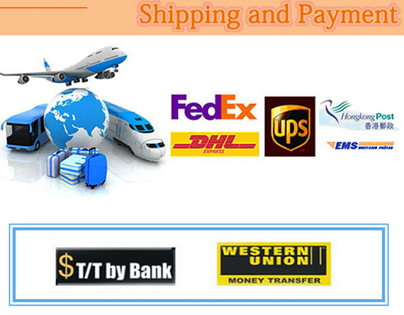 Clear / Blue Inflatable Bumper Ball SGS Certification Bubble Knocker Ball