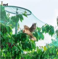 7GSM Red a prueba de pájaros Red verde a prueba de pájaros para árboles frutales