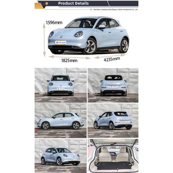 2024 Good Cat Used Electric Car with 360° Rear Camera and Automatic Air Conditioner