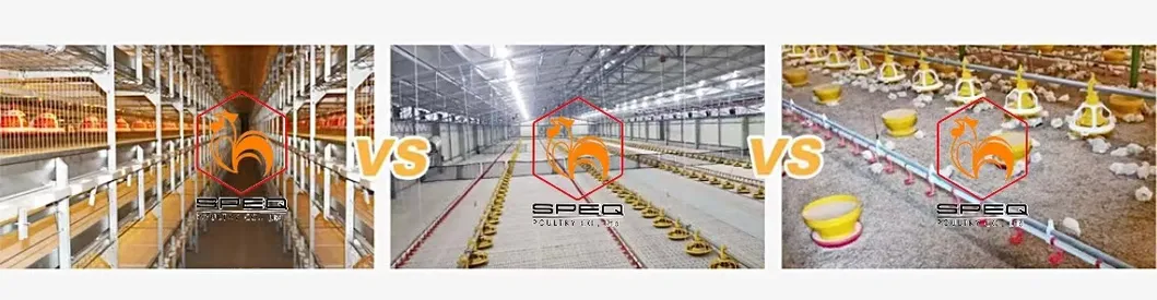 Customizable Poultry Breeding Broiler Equipment Chicken Farm Feeding Line