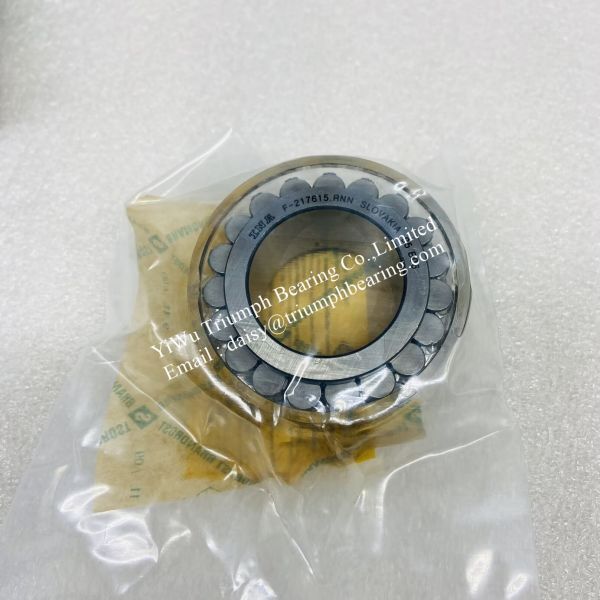 INA double -row full complement cylindrical roller bearing F-217615.RNN
