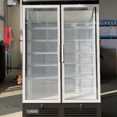 MAXIMA F Series Energy-Saving Commercial Glass Door Freezer for Supermarket Refrigeration