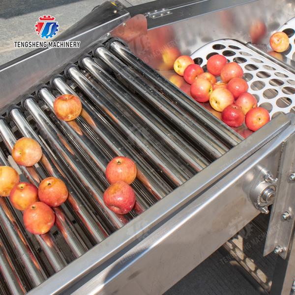 Processing Production Inspecting Grading Fruit Vegetable Onions Saiko persimmon Apple Potato tangerine passion fruit avocado cherry Mango pear banana mangosteen kiwi fruit Fruit Sorting Machine