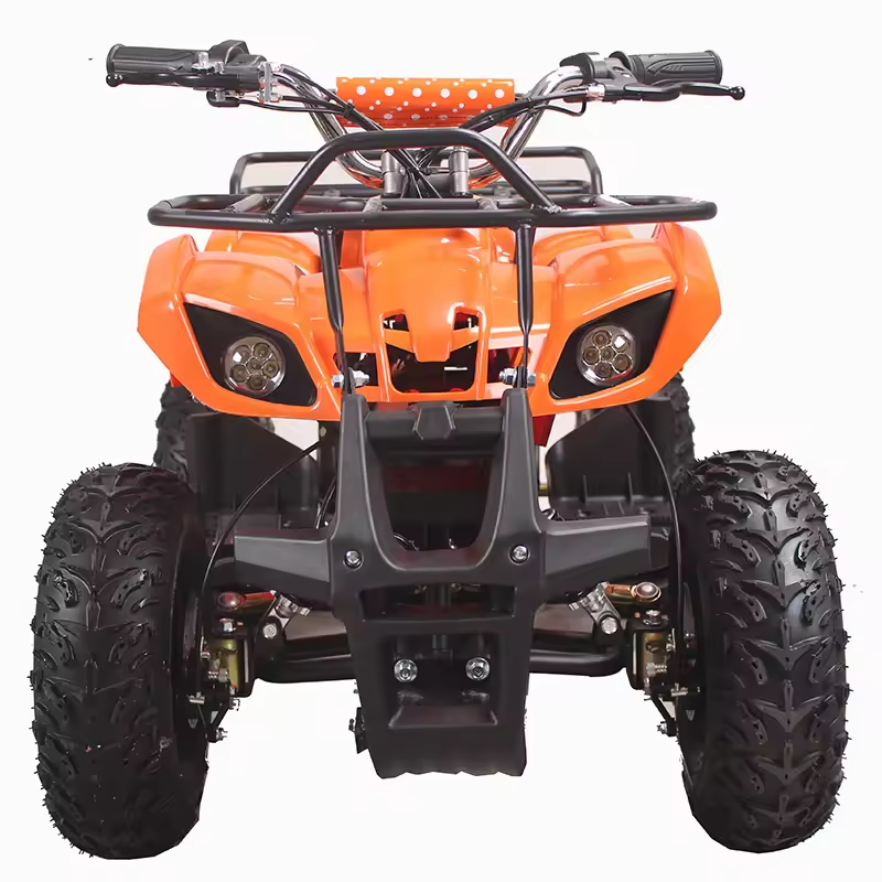 500W Mini Quad ATV for Kids 800W 1000W Electric Powered at Transmission CHAIN DRIVE