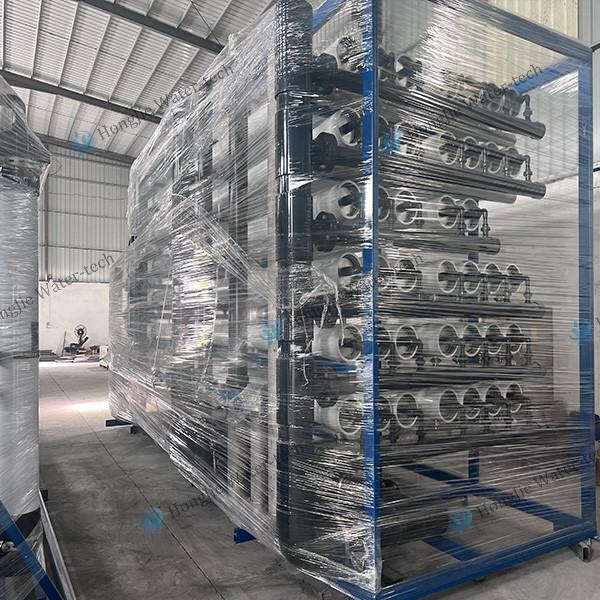 Tailor Made Purified Water Reverse Osmosis System 0.25m3/H~200m3/H