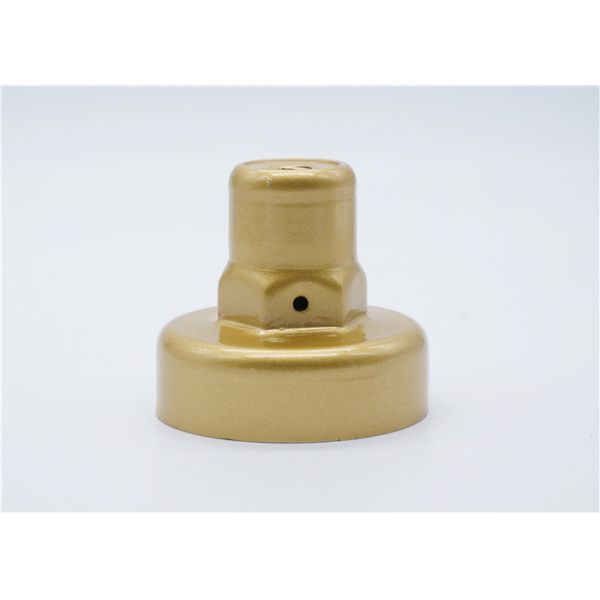 外の直径55mmの圧力計の付属品カバーは金吹き付け塗装を置く