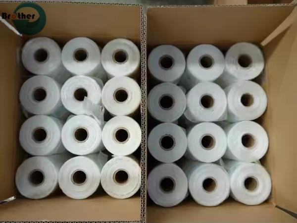 Custom Food Packaging Plastic Produce Bags on Roll