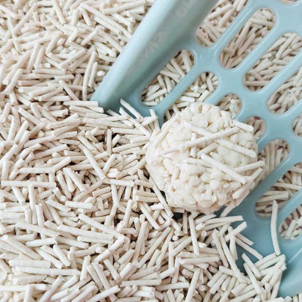 Strip Shape Clumping Dust Free 6L Tofu Cat Litter OEM ODM