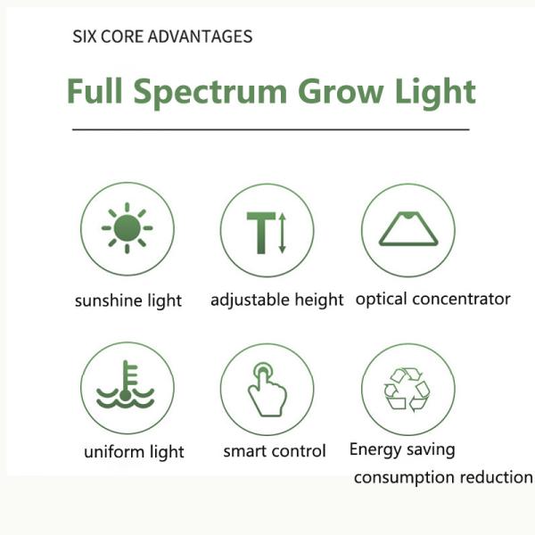 9W Height Adjustable LED Growth Lamp 4000k For Indoor Desk plant