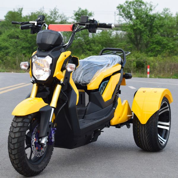 All Tube Type Controller Double Seat Adult Electric Tricycle for Elder/Three Fat Wheel Electric Bicycle