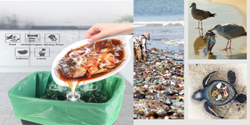 biodegradable plastic shopping bags die cut handle bag, Biodegradable Shopping Plastic Bag, 100% corn die cut handle bio