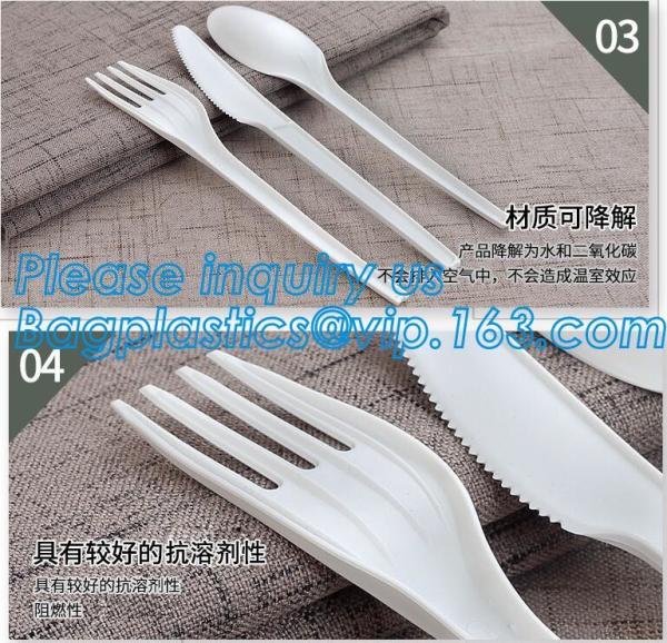 Food Grade Hottest Chinese Supplier Stocked Biodegradable Corn Starch Soup Spoon,biodegradable baby products cutlery wal