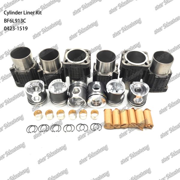 Новое состояние дизельного двигателя для BF6L913C 0423-1519