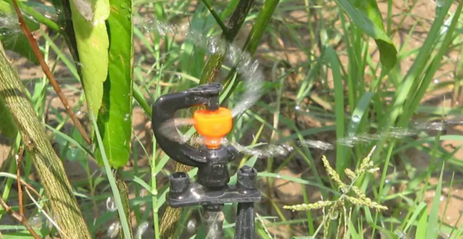 Agriculture Spraying Cool Micro Sprinkler Heads For Irrigation Lawn