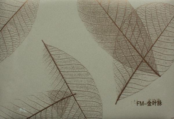 Anti Finger Print Coating PVC Transfer Printing Stainless Steel Decorative Sheet