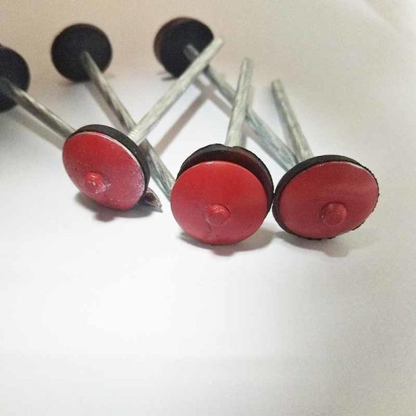 Customized Color Galvanized Roofing Nails Steel Material Carton Packing