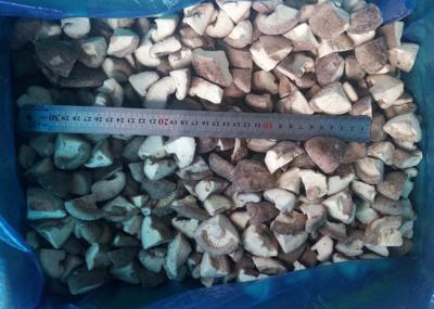 Typical Flavor IQF Mushrooms / Shiitake Mushrooms Quarter Cut ISO Approval