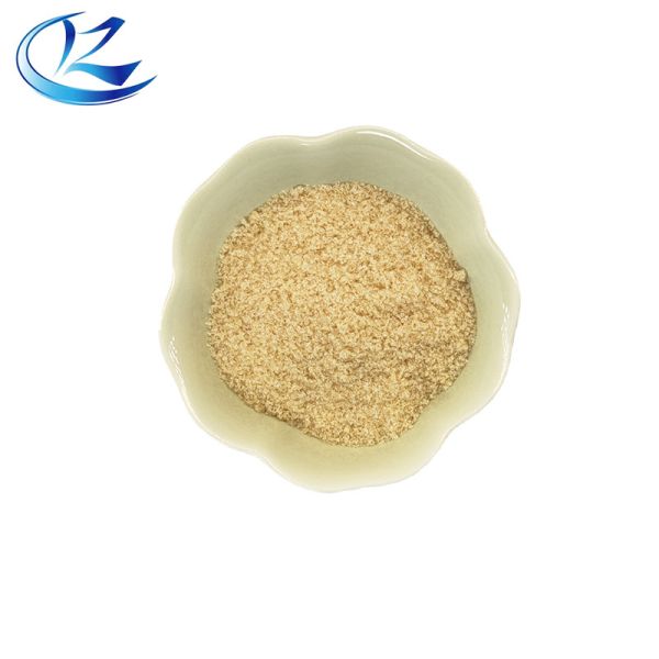 OEM Food Emulsifiers Soybean Lecithin Powder Cas 8002-43-5